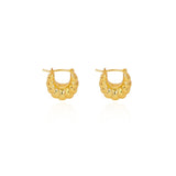 Twist Form Hoop Earrings