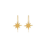 Star Vase Drop Earrings