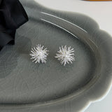 Radiant Spike Burst Cluster Stud Earrings